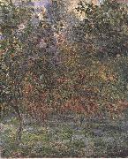 Claude Monet The Lemon Grove in Bordighera oil painting reproduction